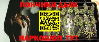 сатива Сланцы