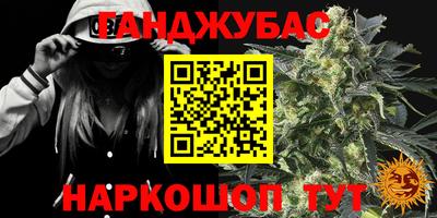 сатива Сланцы