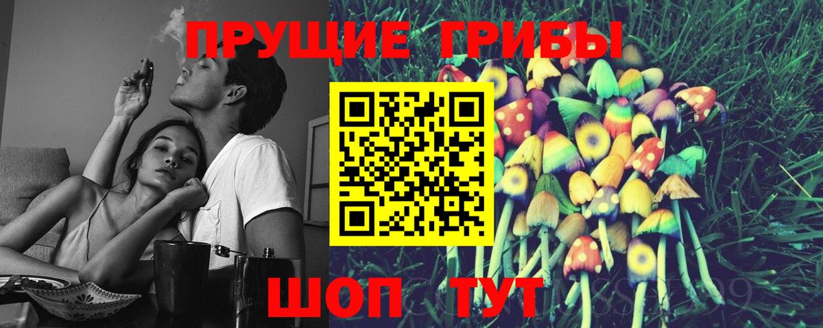 Отрадный  Псилоцибиновые грибы MAGIC MUSHROOMS  Вход с VPN 
